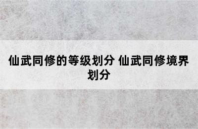 仙武同修的等级划分 仙武同修境界划分